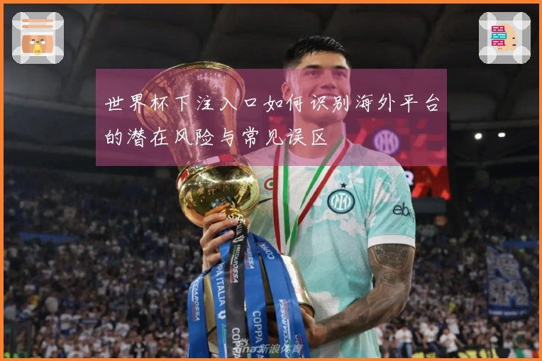 世界杯下注入口如何识别海外平台的潜在风险与常见误区