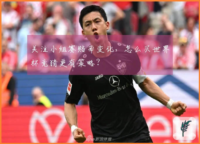 关注小组赛赔率变化，怎么买世界杯竞猜更有策略？