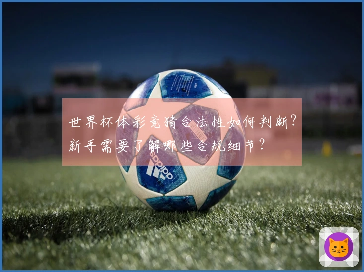 世界杯体彩竞猜合法性如何判断？新手需要了解哪些合规细节？