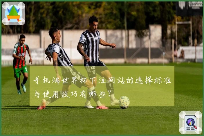 手机端世界杯下注网站的选择标准与使用技巧有哪些？