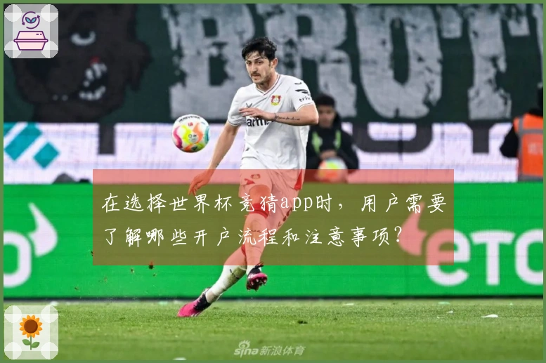 在选择世界杯竞猜app时，用户需要了解哪些开户流程和注意事项？
