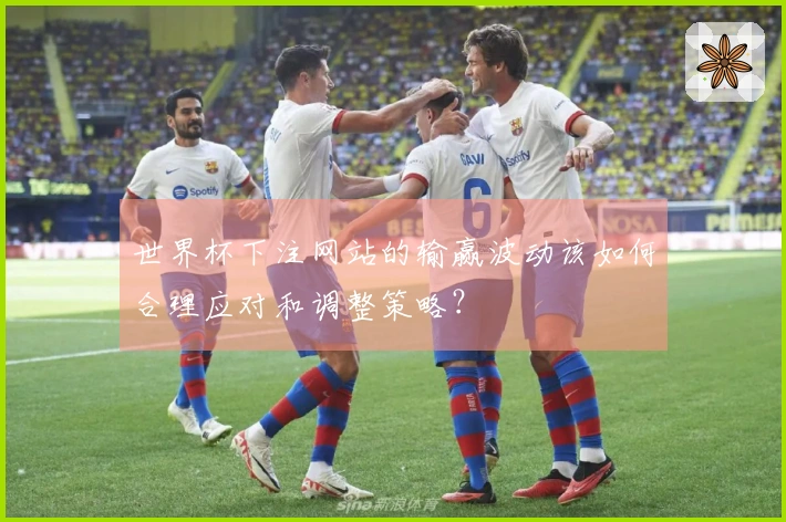 世界杯下注网站的输赢波动该如何合理应对和调整策略？