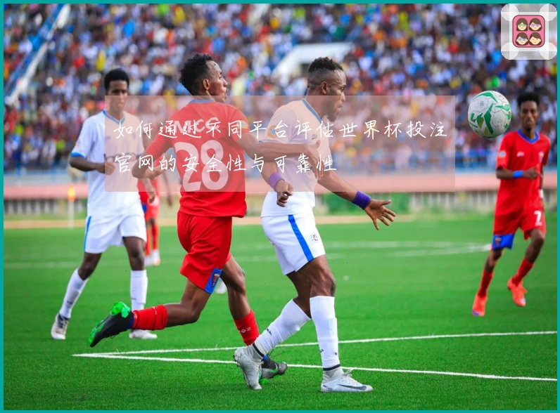 如何通过不同平台评估世界杯投注官网的安全性与可靠性