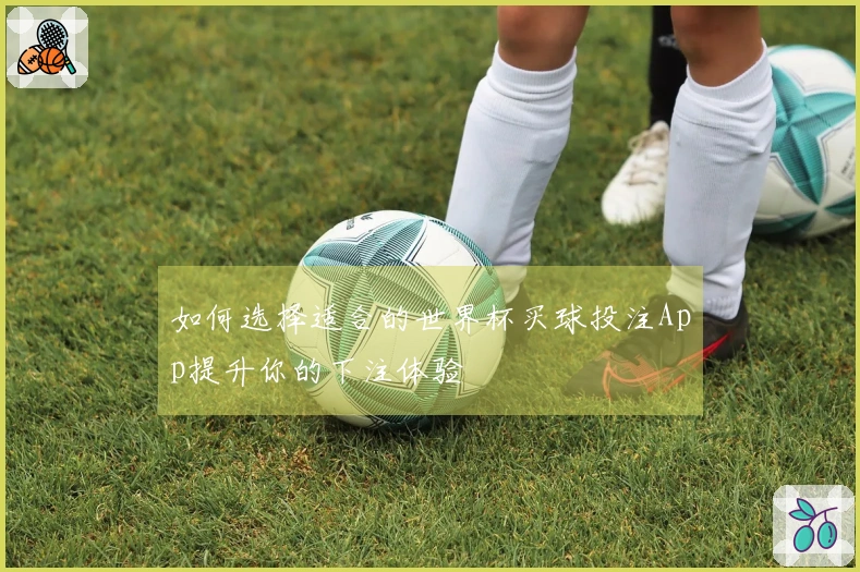 如何选择适合的世界杯买球投注App提升你的下注体验