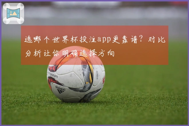 选哪个世界杯投注app更靠谱？对比分析让你明确选择方向