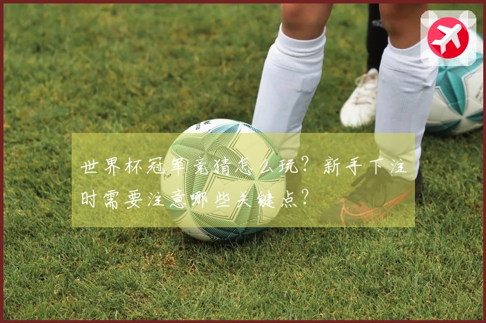 世界杯冠军竞猜怎么玩？新手下注时需要注意哪些关键点？