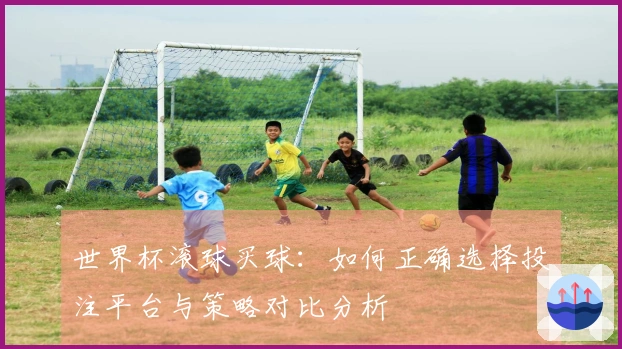 世界杯滚球买球：如何正确选择投注平台与策略对比分析