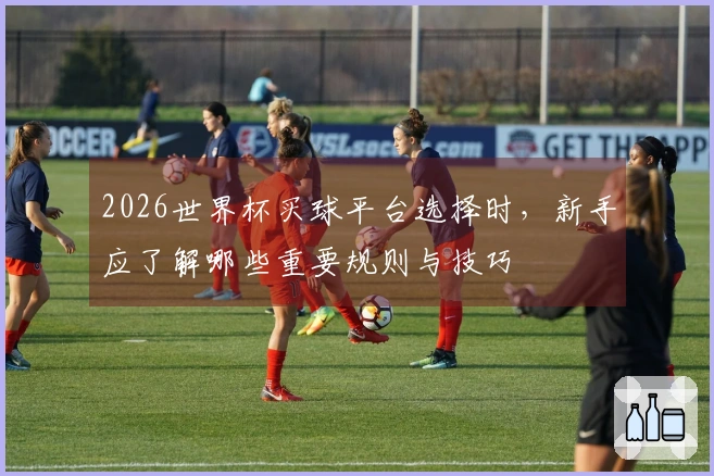 2026世界杯买球平台选择时，新手应了解哪些重要规则与技巧