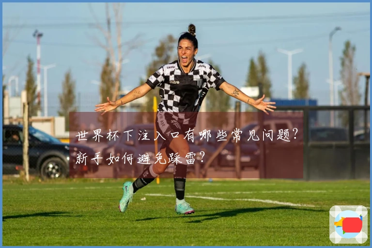 世界杯下注入口有哪些常见问题？新手如何避免踩雷？