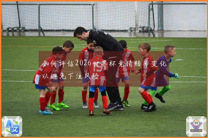如何评估2026世界杯竞猜赔率变化以避免下注风险