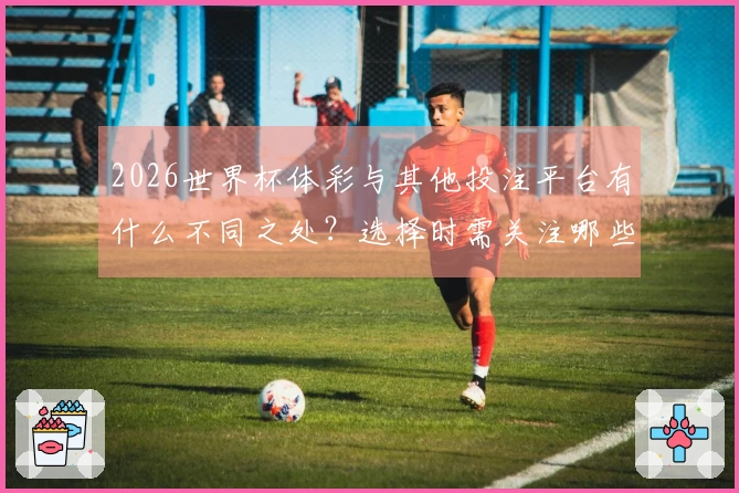 2026世界杯体彩与其他投注平台有什么不同之处？选择时需关注哪些关键要素？