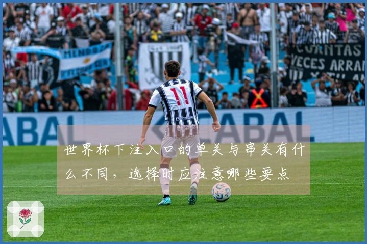 世界杯下注入口的单关与串关有什么不同，选择时应注意哪些要点