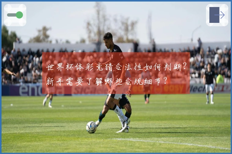 世界杯体彩竞猜合法性如何判断？新手需要了解哪些合规细节？