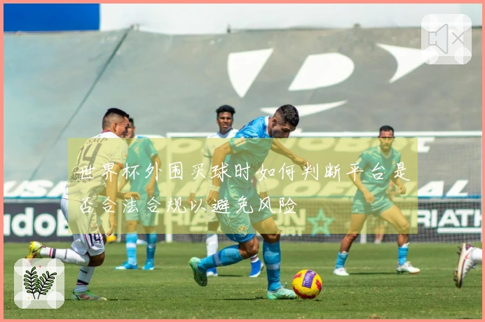 世界杯外围买球时如何判断平台是否合法合规以避免风险