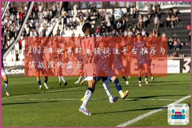 2023年世界杯竞猜投注平台推荐与实战技巧盘点