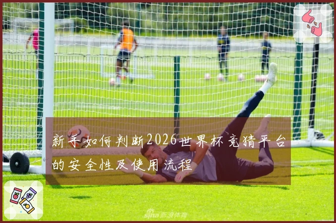 新手如何判断2026世界杯竞猜平台的安全性及使用流程