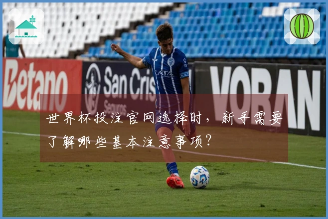 世界杯投注官网选择时，新手需要了解哪些基本注意事项？