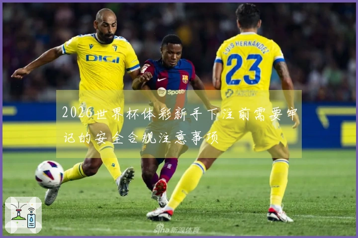 2026世界杯体彩新手下注前需要牢记的安全合规注意事项