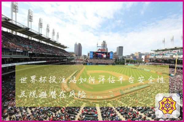 世界杯投注站如何评估平台安全性及规避潜在风险