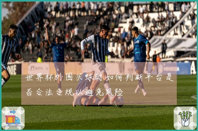 世界杯外围买球时如何判断平台是否合法合规以避免风险