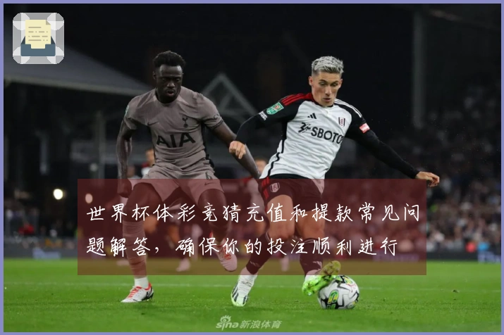 世界杯体彩竞猜充值和提款常见问题解答，确保你的投注顺利进行