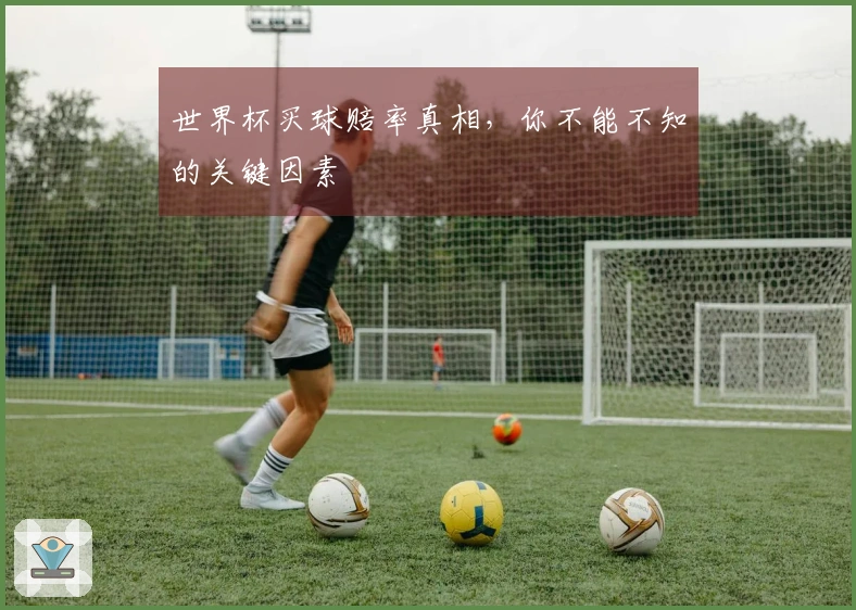世界杯买球赔率真相，你不能不知的关键因素