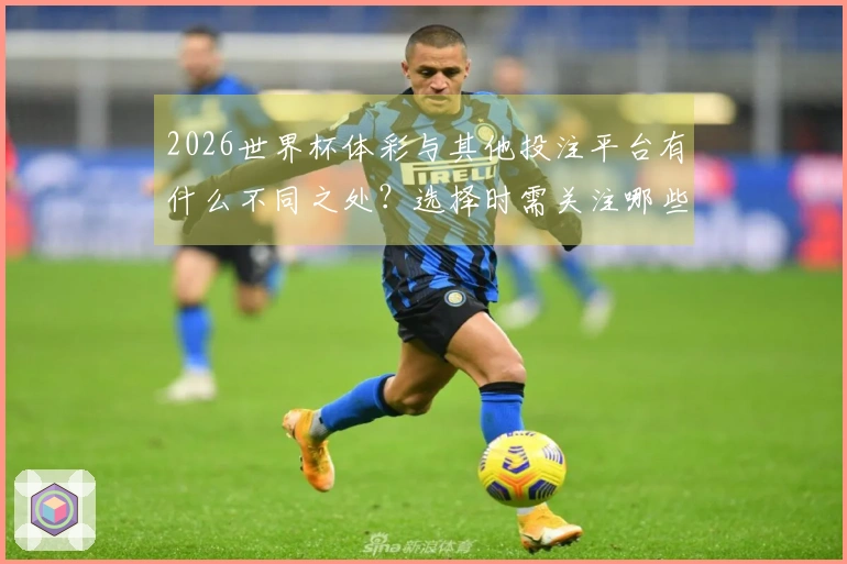 2026世界杯体彩与其他投注平台有什么不同之处？选择时需关注哪些关键要素？
