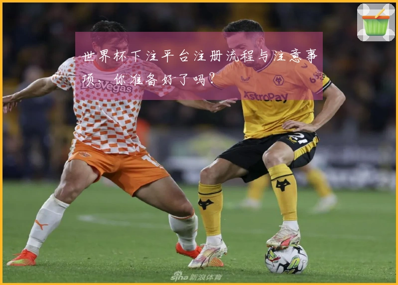 世界杯下注平台注册流程与注意事项，你准备好了吗？